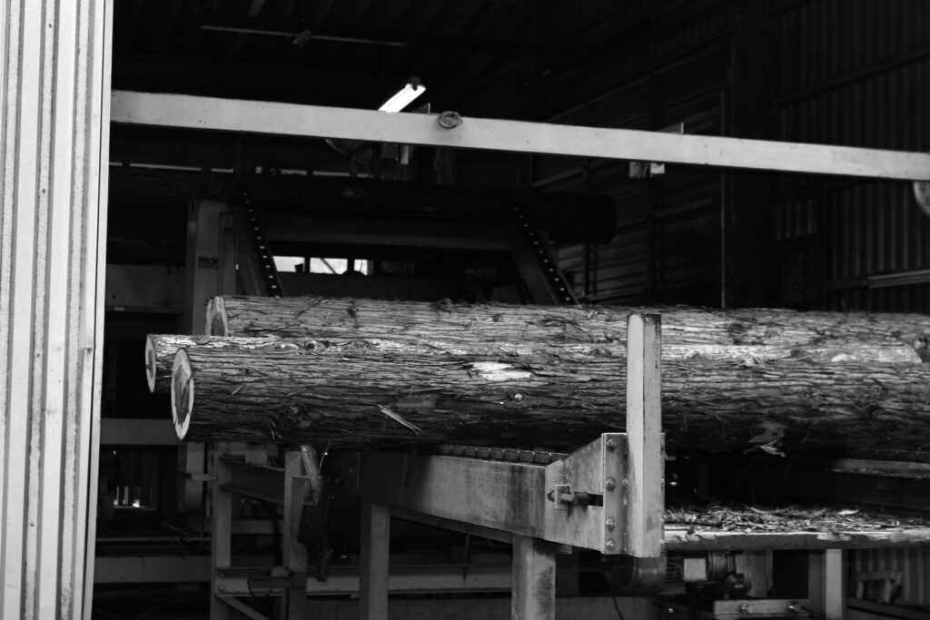 県産針葉樹を主に間伐材を用い、県内生産することで地域の企業と協業したjomojomojomoのものづくり